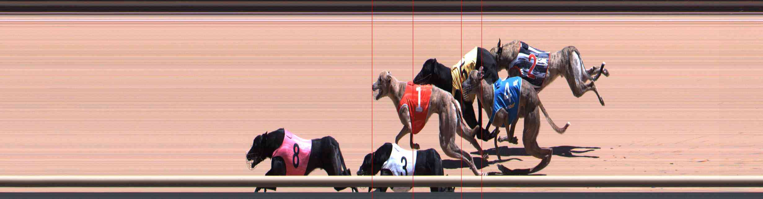 Race result finish photo